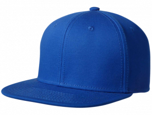 Uitstekend lengte vervormen Kingcap Snapbacks Ontwerpen & Maken - Blok Borduren